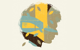 正规平台可信的网页攻击软件